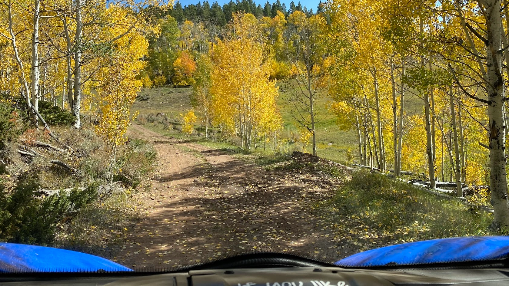 Golden aspen trail on a guided side-by-side adventure near Vernal Utah